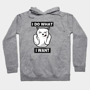 I do What I want Cat, Funny mean cat Hoodie